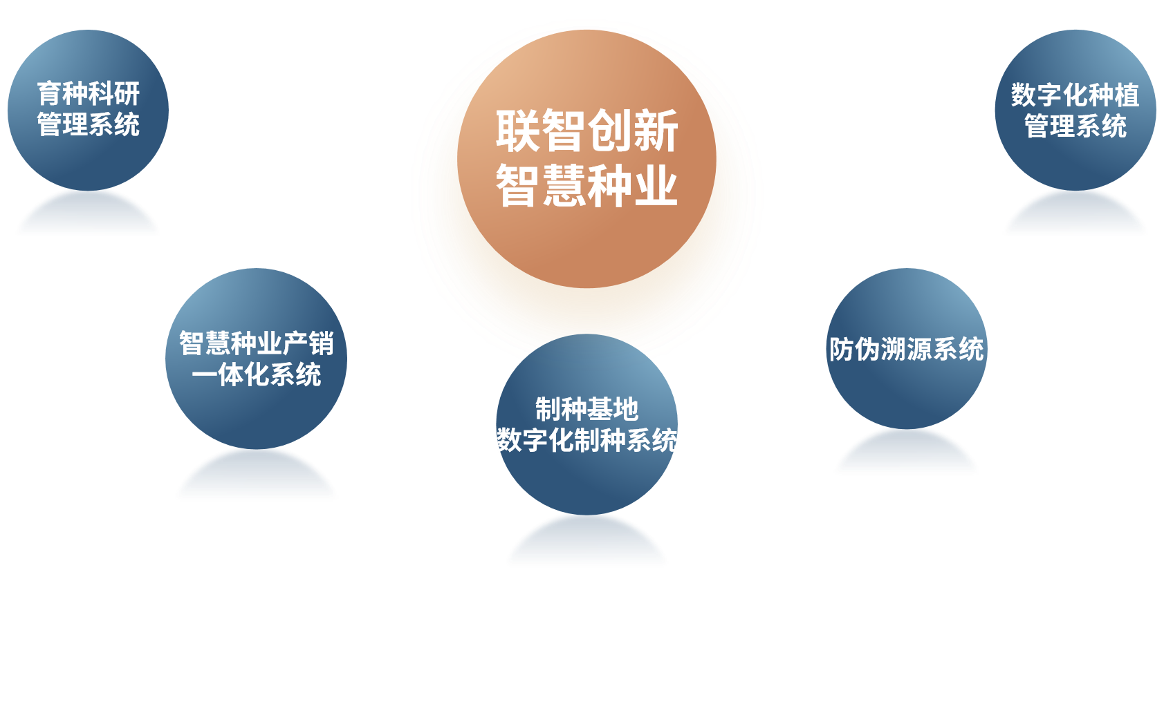 種業(yè)進銷存